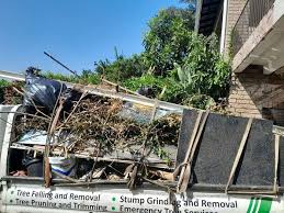 Best Property Management Cleanouts  in Catalina Foothills, AZ